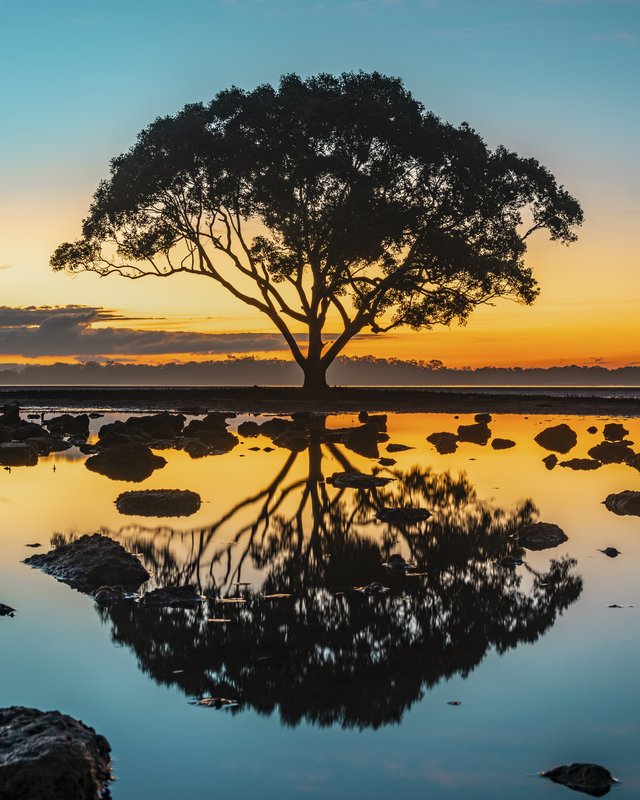Long Exposure Brighton