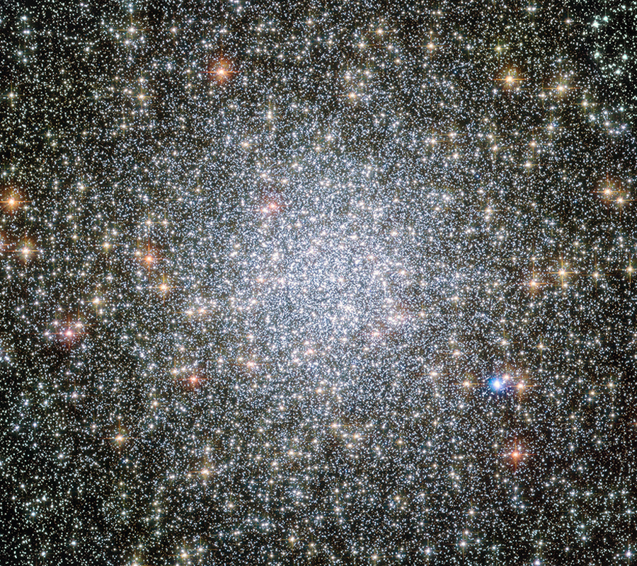 Dense Star Cluster Simulation